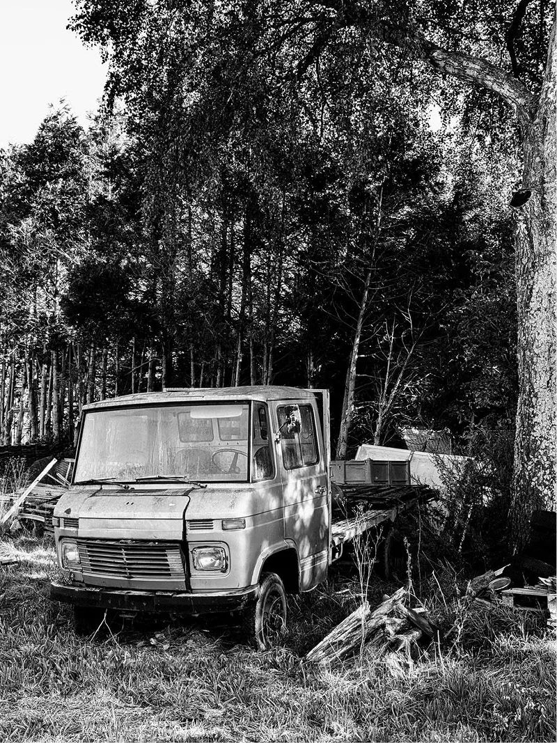 Oud Mercedes-vrachtwagentje tussen hoog gras en planken aan een bosrand, in zwart-wit