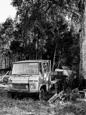 Mercedes met rust, de foto