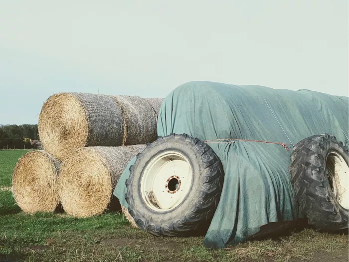 Ronde hooibalen en een groen zeil met oude tractorbanden op een weide