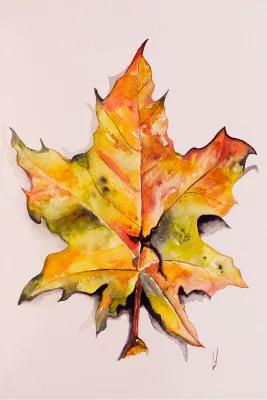The Leaf, de foto