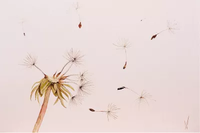 Blowing in the Wind, de foto