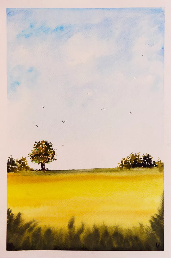 Geel veld met een boom aan de horizon onder een lichtblauwe zomerlucht met enkele vogels