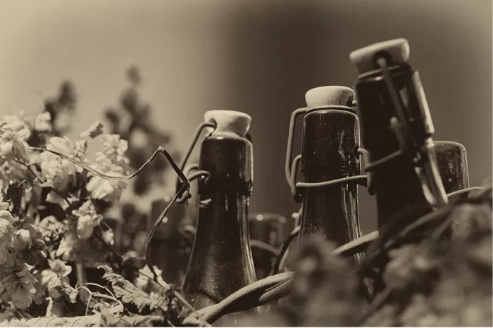 Oude beugelflessen in sepia met wazige bladeren op de voorgrond