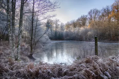 Bij ons in de Ardennen, de foto