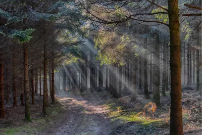 Na regen komt zonneschijn, de foto