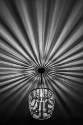 Luster met allures, de foto