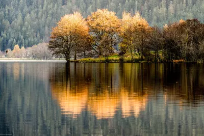 Gouden reflectie in het water, de foto