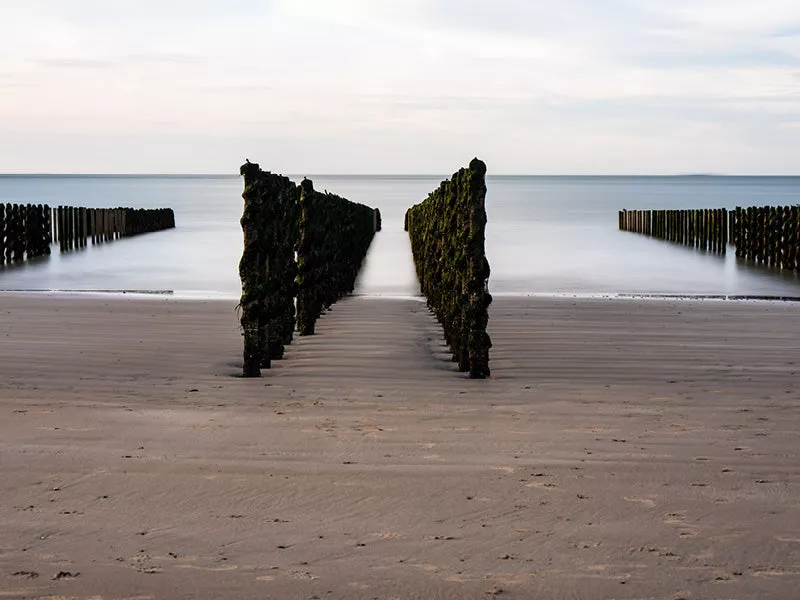 Twee rijen begroeide strandpalen die als een poort naar een gladde zee leiden, met zand ertussen