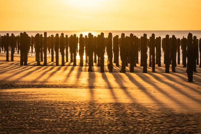 Rij strandpalen in tegenlicht met lange schaduwen over het zand en een goudgele lucht