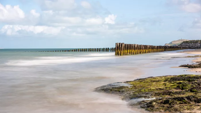 Rij strandpalen die de zee in loopt, met een begroeide rotsplaat en wazig water op de voorgrond