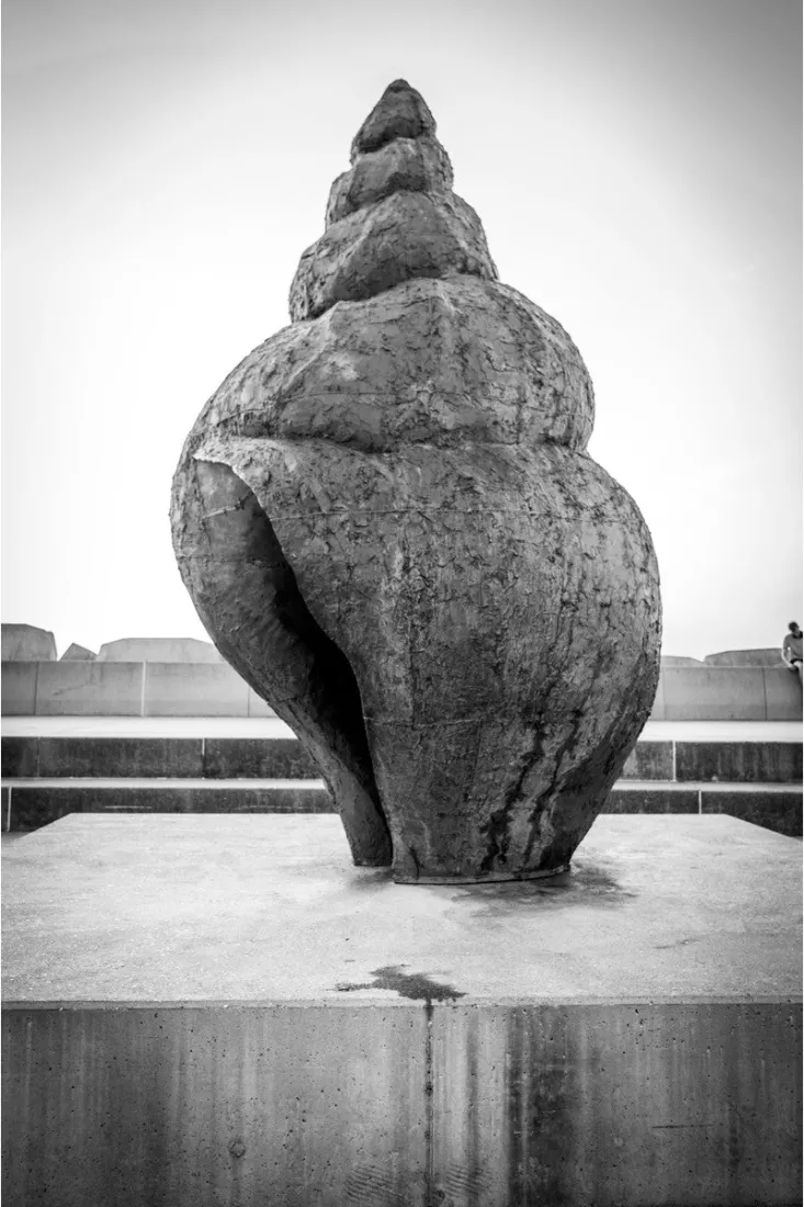 Groot beeld van een wulkschelp op een betonnen sokkel tegen een bleke lucht