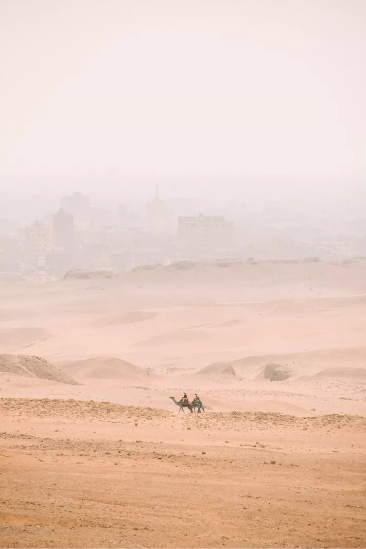 Twee kamelen in de woestijn met in de verte de wazige contouren van een stad
