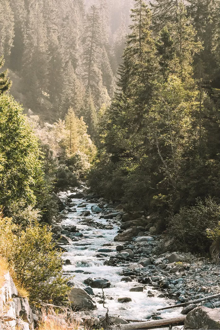 Rivier over grijze rotsen tussen dennenbomen in een vallei met zonlicht in de nevel