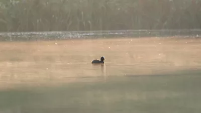 Op het Water, de foto
