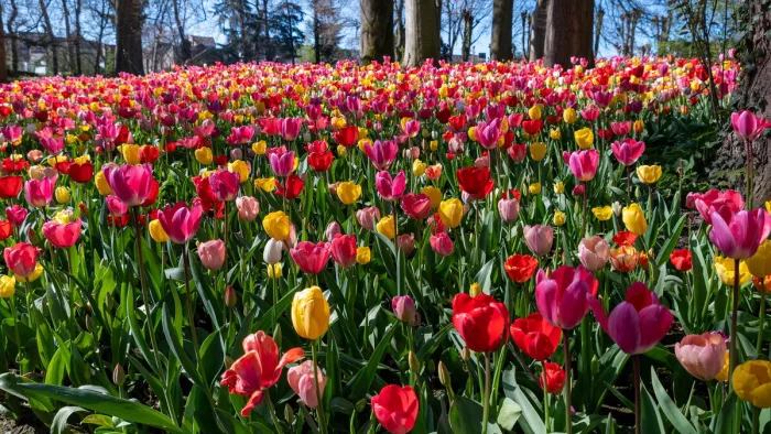 De natuur toont haar meest kleurrijke zijde