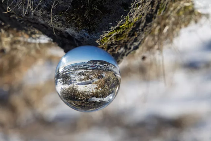Glazen bol onder een bemoste rand met droog gras, met de besneeuwde omgeving omgekeerd in de bol