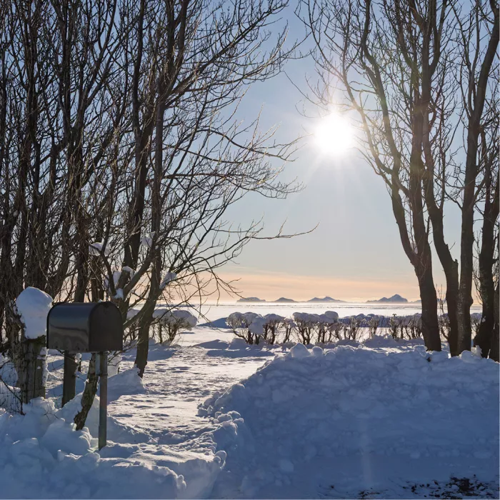 Besneeuwde tuin met brievenbus en kale bomen, met een laaghangende zon die door de takken schijnt