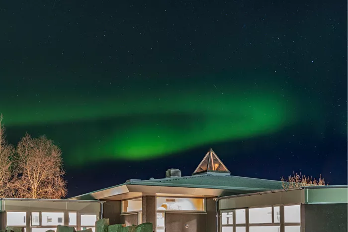 Groen noorderlicht boven een laag gebouw met een glazen piramide op het dak en kale berken