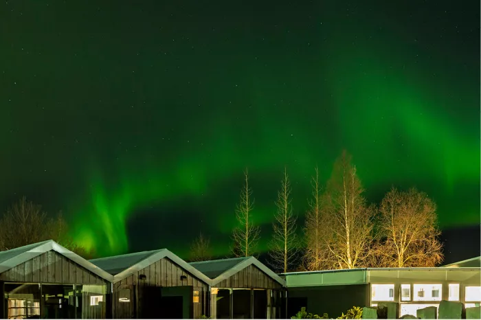 Groen noorderlicht boven houten huisjes met puntdaken en aangelichte berken