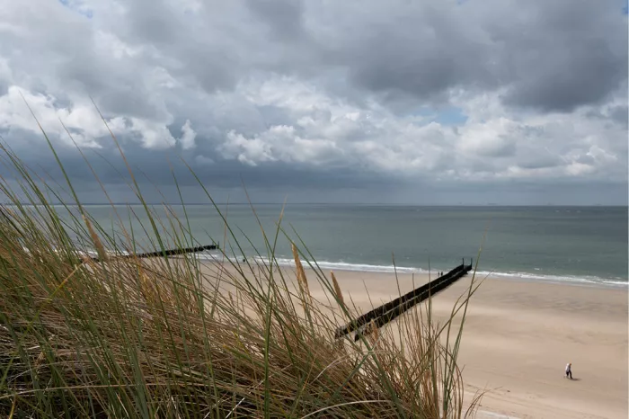 Duingras op de voorgrond met zicht op een strand, paalhoofden en de zee onder wolken