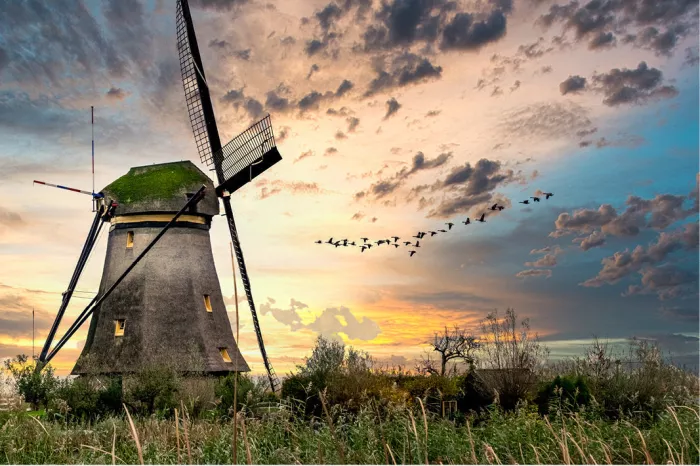 Windmolen in hoog gras onder een kleurrijke wolkenlucht met een vlucht eenden