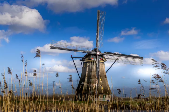 Windmolen tussen hoog riet onder een blauwe lucht met witte wolken in Kinderdijk