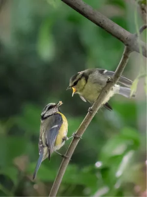 Honger honger honger!, de foto