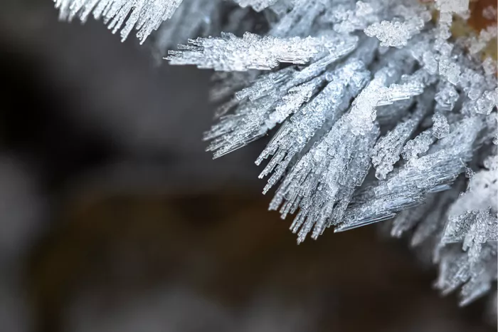 Takje bedekt met witte rijpkristallen als ijsnaaldjes tegen een donkere achtergrond