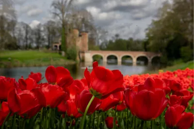 Floraliën Groot-Bijgaarden, de foto