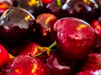 Maxi Cherry, de foto