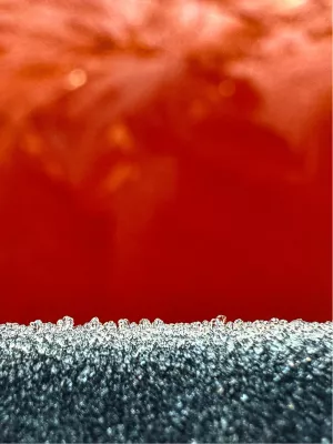 Frozen car, de foto