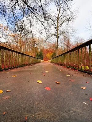 Brug in herfstkleuren 1, de foto