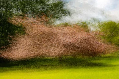 Foto schilderij, de foto