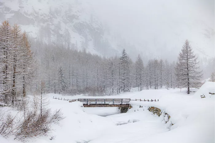 Houten brugje over een besneeuwde rivier tussen lariksen, met bergen in de mist