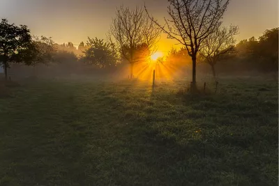 Mistige zonsopgang 3, de foto